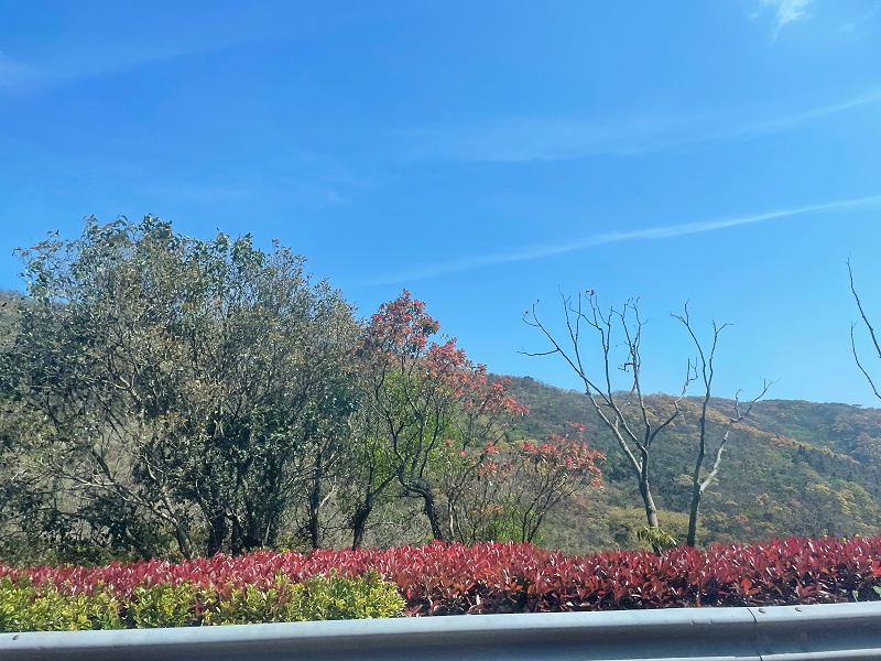 上海越邦機(jī)電團(tuán)隊旅游