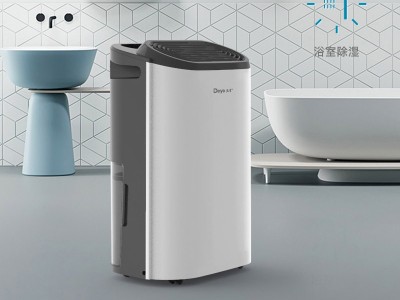 德業(yè)DYD-Z12A3除濕機12L/天 智能APP控制 靜音干衣 適用20㎡ 米家聯動